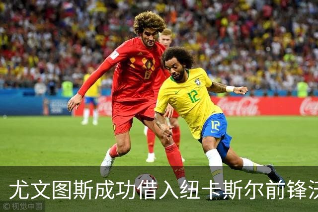 尤文图斯成功借入纽卡斯尔前锋沃尔特马德