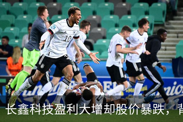 长鑫科技盈利大增却股价暴跌，背后原因引人关注